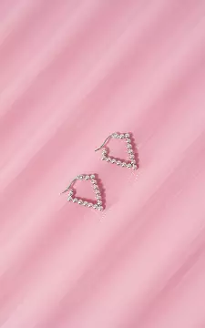 Oorbellen | Zilver | Guts & Gusto