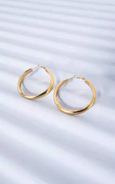 Gesloten oorbellen | Goud | Guts & Gusto