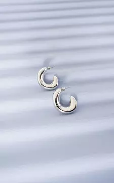 Oorbellen | Zilver | Guts & Gusto