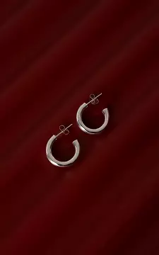 Geschlossene Ohrringe | Silber | Guts & Gusto