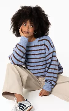Jumper with stripe | Blue Dark Brown | Guts & Gusto