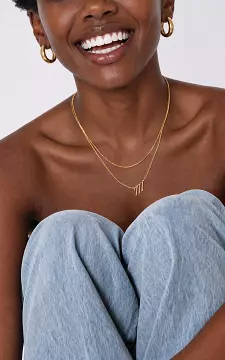 Adjustable necklace | Gold | Guts & Gusto