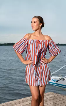 Gestreepte top | Roestbruin Lichtblauw | Guts & Gusto