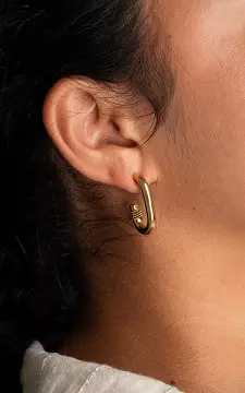 Stainless steel ear pins with detail | Gold | Guts & Gusto
