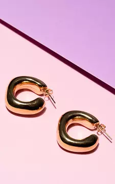 Earrings of stainless steel | Gold | Guts & Gusto