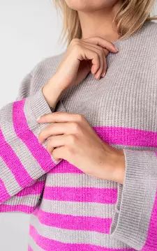 Sweater with round neck | Grey Fuchsia | Guts & Gusto