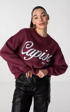 Sweater with round neck | Bordeaux | Guts & Gusto