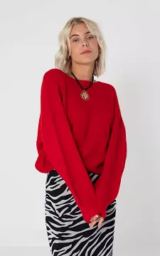 Sweater with round neck | Red | Guts & Gusto