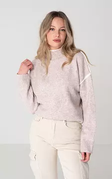 Sweater with round neck | Taupe Cream | Guts & Gusto