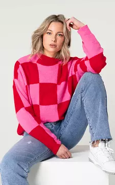 Sweater #95361 | Pink Red | Guts & Gusto