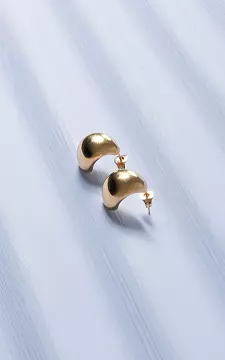 Earrings made of stainless steel | Gold | Guts & Gusto