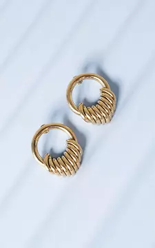 Oorbellen van stainless steel | Goud | Guts & Gusto