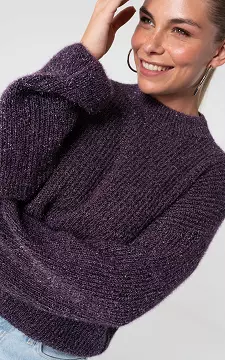 Glitter sweater with high neck | Purple | Guts & Gusto