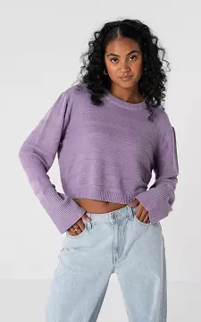 Sweater with round neck | Purple | Guts & Gusto