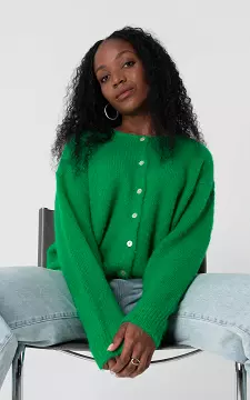 Cardigan with pearlescent colored buttons | Green | Guts & Gusto