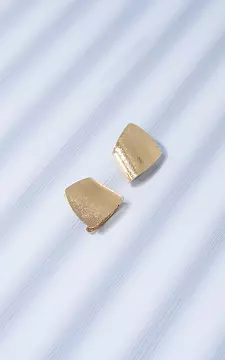 Earrings made of stainless steel | Gold | Guts & Gusto