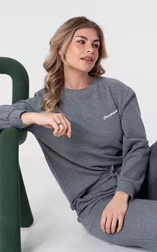 Sweater with round neck | Grey | Guts & Gusto